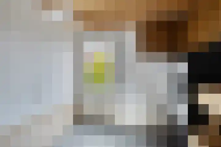 De Kromme Akker 7 Waarland thumbnail 47