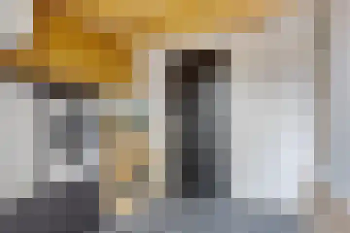 De Kromme Akker 7 Waarland thumbnail 48