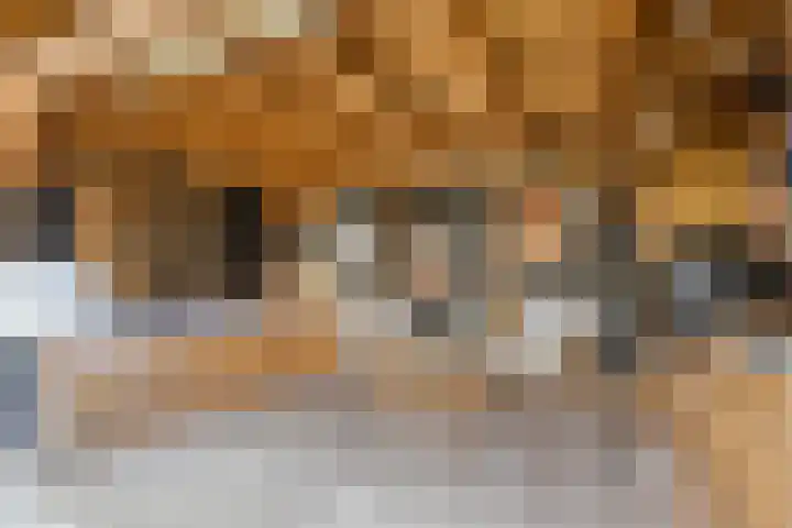 De Kromme Akker 7 Waarland thumbnail 50