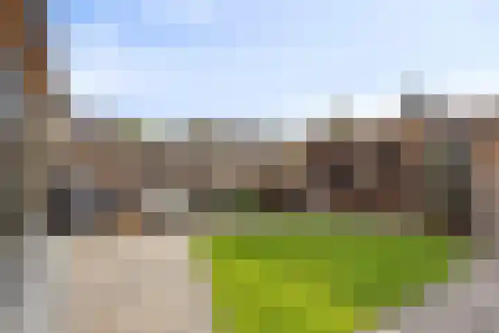 De Kromme Akker 7 Waarland thumbnail 51