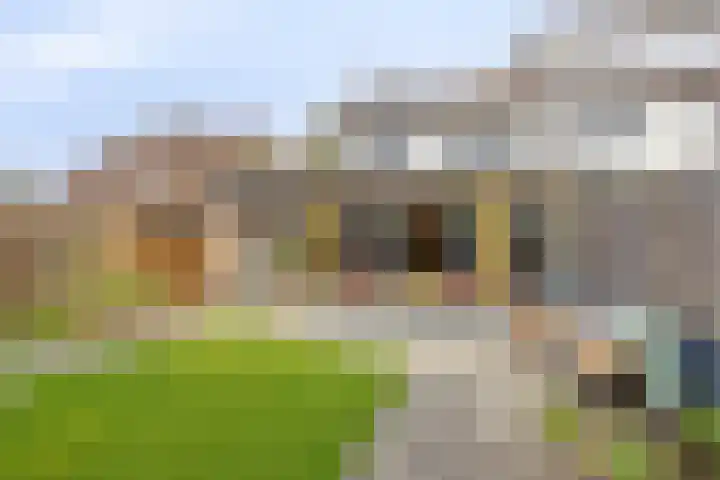 De Kromme Akker 7 Waarland thumbnail 52
