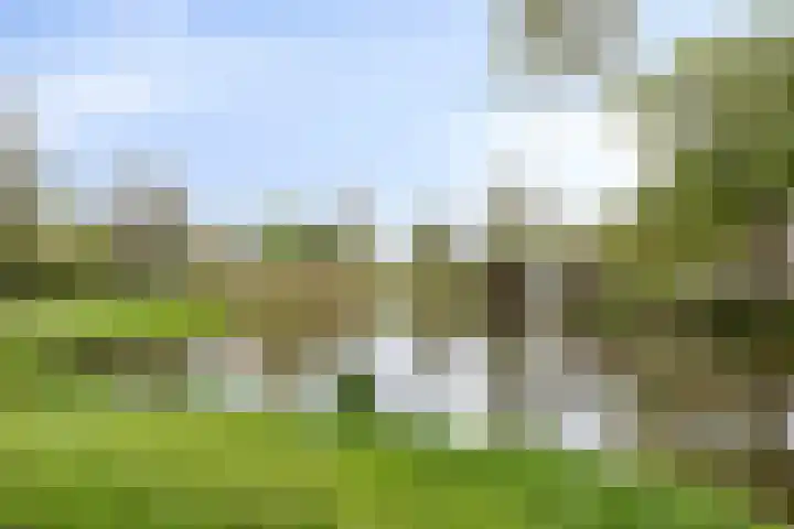 De Kromme Akker 7 Waarland thumbnail 53