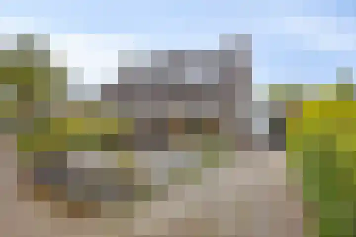 De Kromme Akker 7 Waarland thumbnail 59