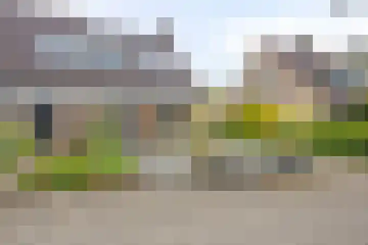 De Kromme Akker 7 Waarland thumbnail 6