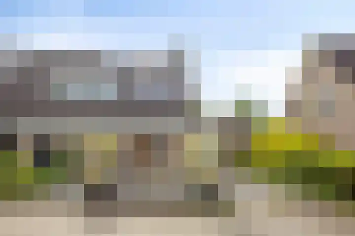 De Kromme Akker 7 Waarland thumbnail 7