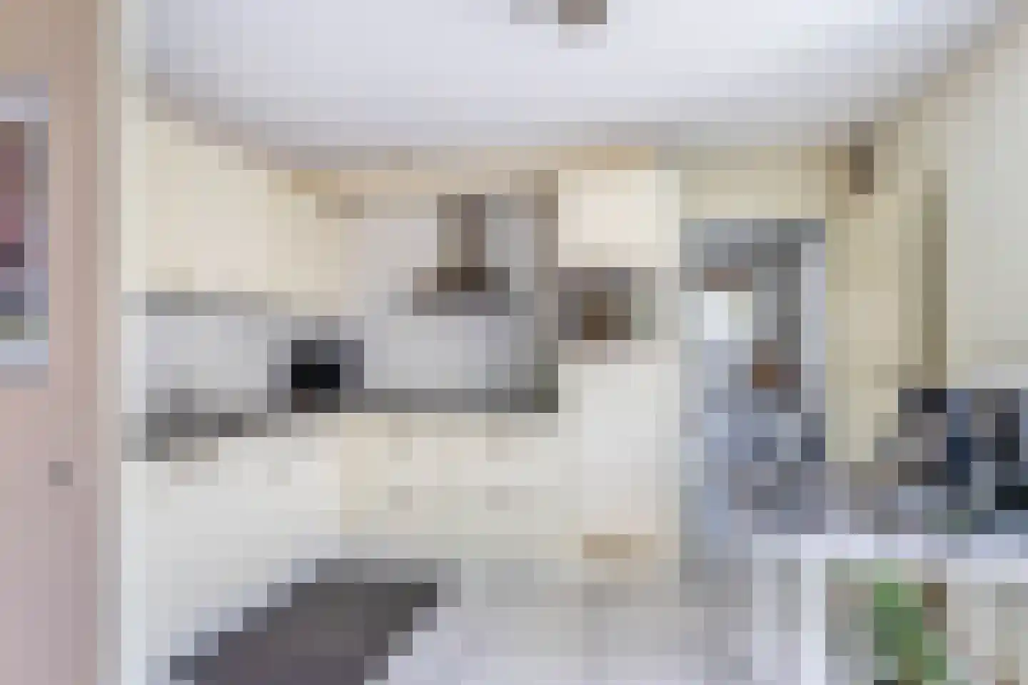 de Kromme Geer 2 Helmond thumbnail 18
