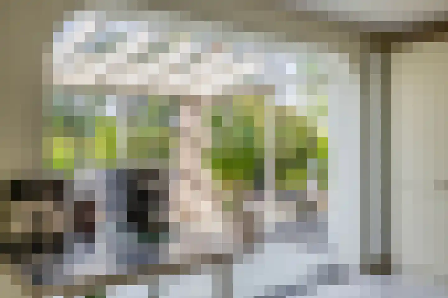 de Kromme Geer 2 Helmond thumbnail 19