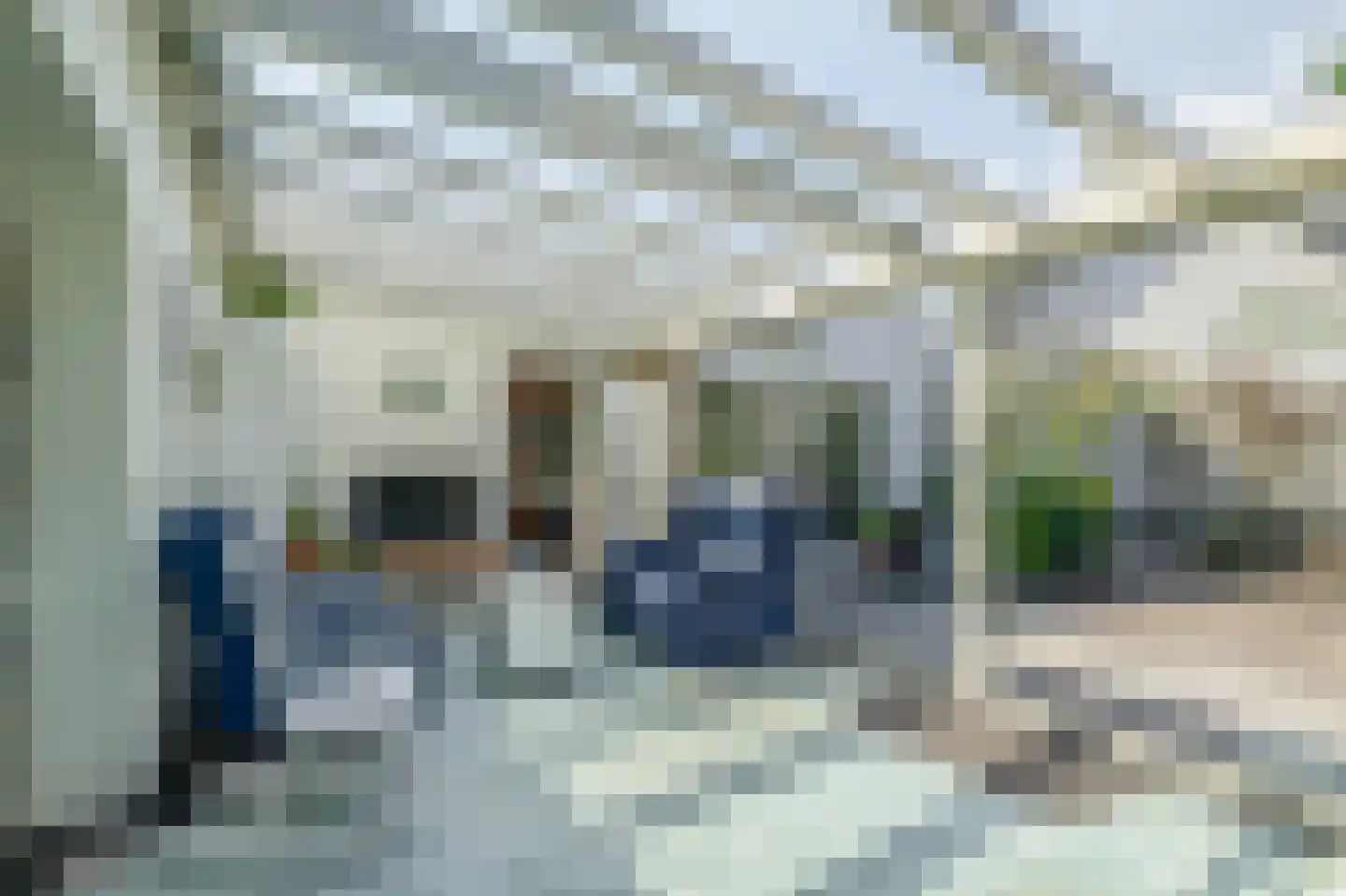 de Kromme Geer 2 Helmond thumbnail 20