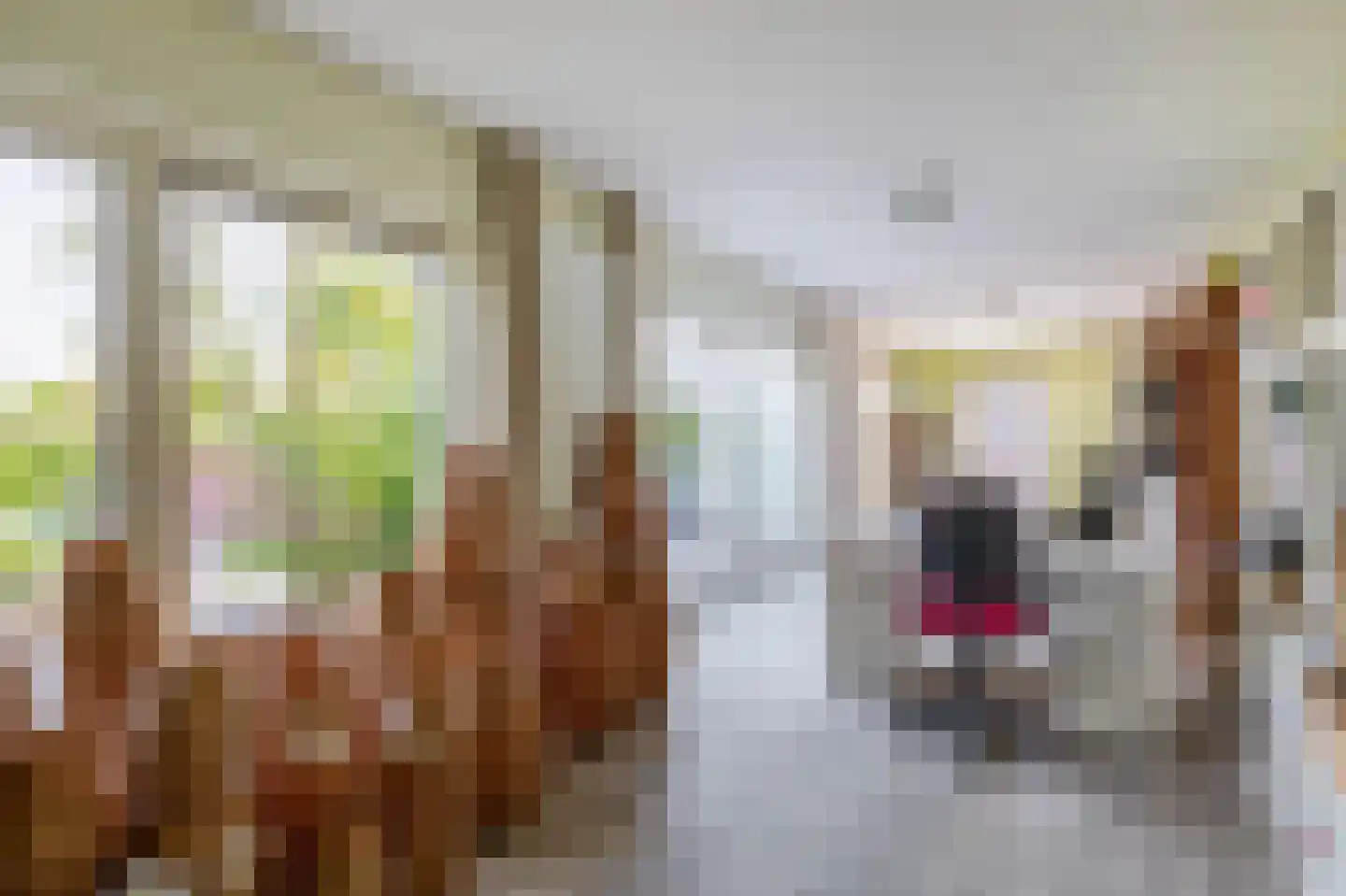 de Kromme Geer 2 Helmond thumbnail 24