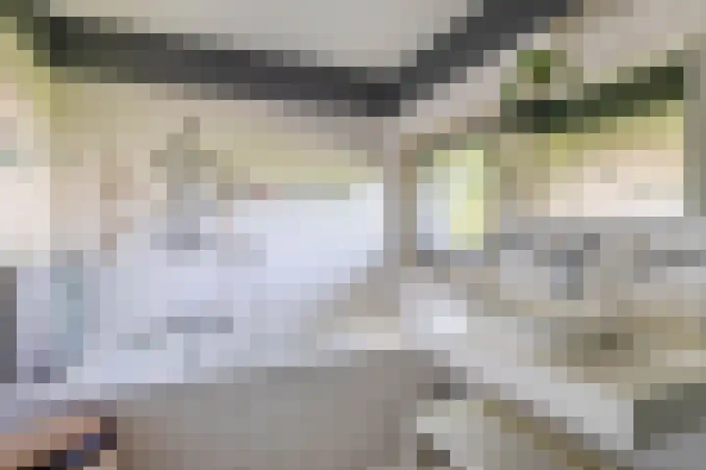 de Kromme Geer 2 Helmond thumbnail 31