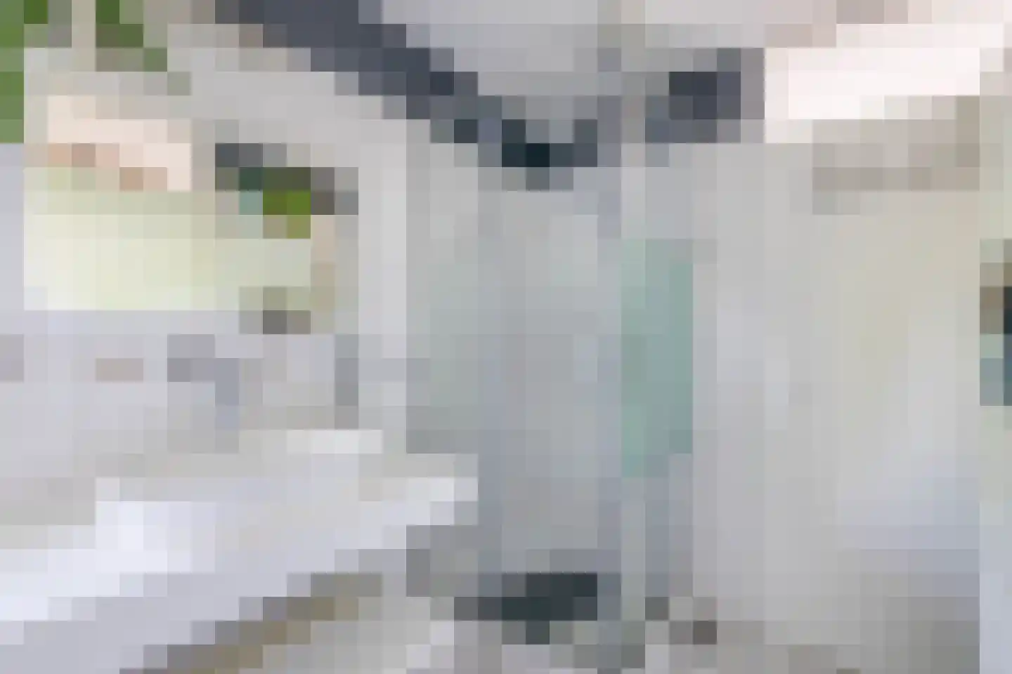 de Kromme Geer 2 Helmond thumbnail 32