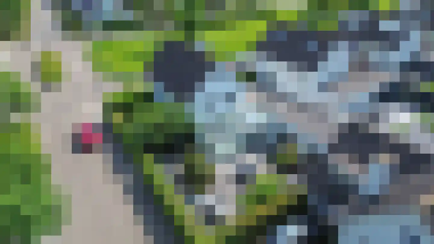 de Kromme Geer 2 Helmond thumbnail 45