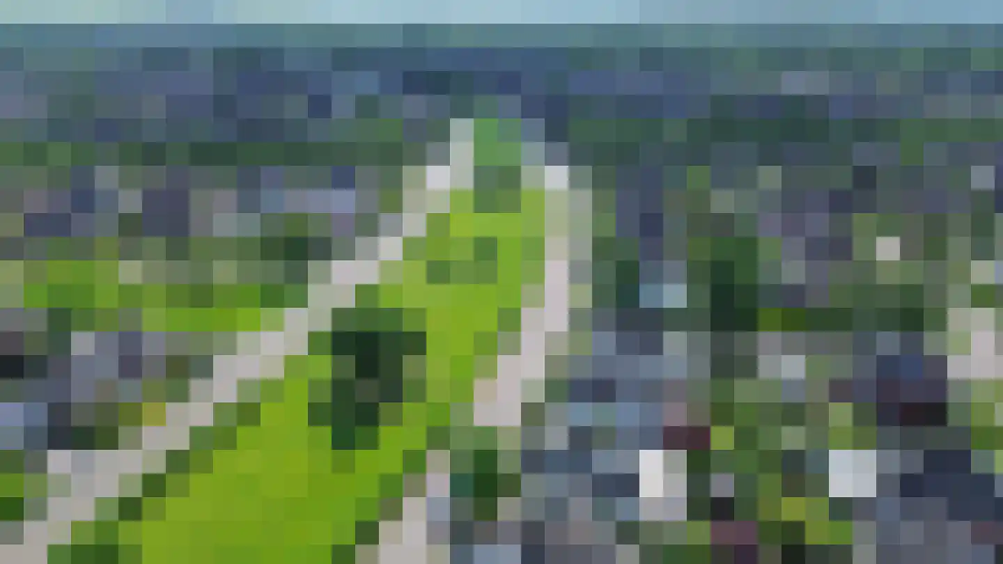 de Kromme Geer 2 Helmond thumbnail 48