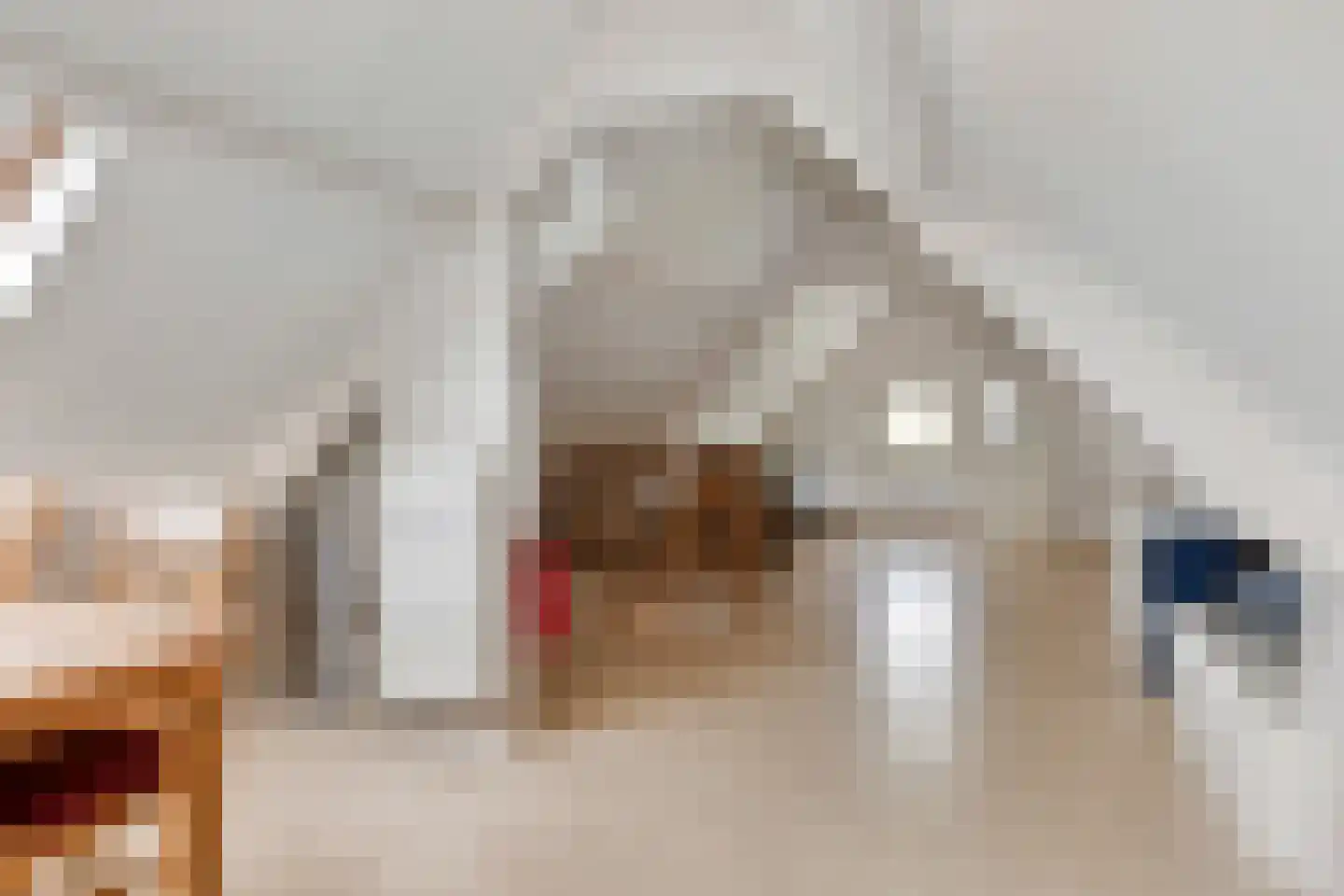 de Kromme Geer 22 Helmond thumbnail 11
