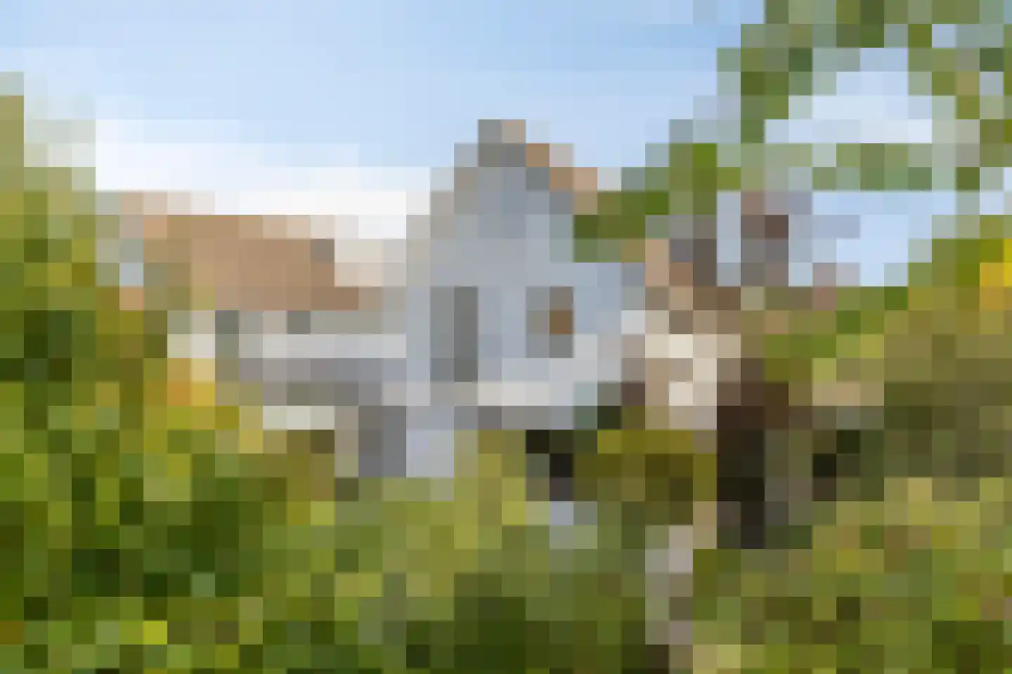de Kromme Geer 22 Helmond thumbnail 49