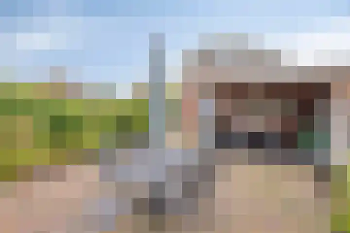 de Kromme Geer 50 Helmond thumbnail 23