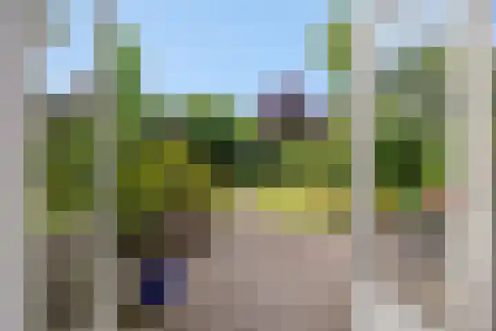 de Kromme Geer 58 Helmond thumbnail 22