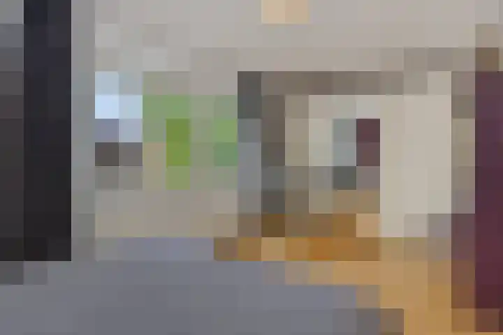 de Kromme Geer 58 Helmond thumbnail 27