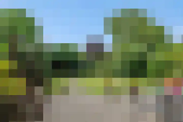 de Kromme Geer 58 Helmond thumbnail 37