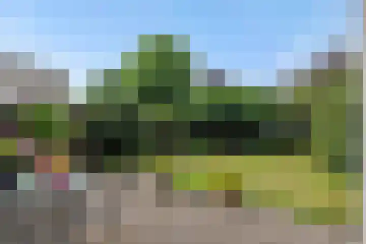de Kromme Geer 58 Helmond thumbnail 38