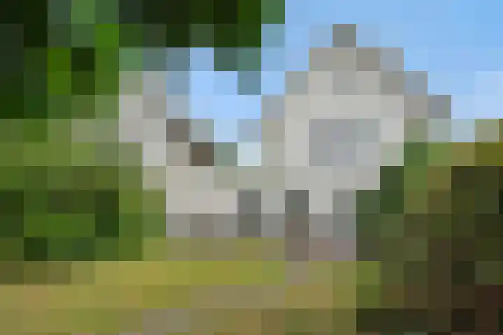 de Kromme Geer 58 Helmond thumbnail 39