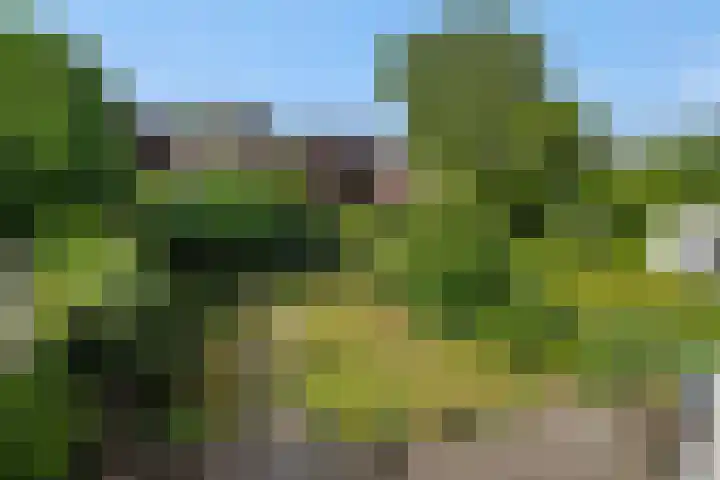 de Kromme Geer 58 Helmond thumbnail 41