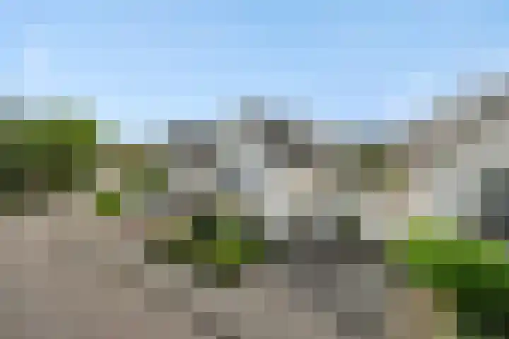 de Kromme Geer 58 Helmond thumbnail 8