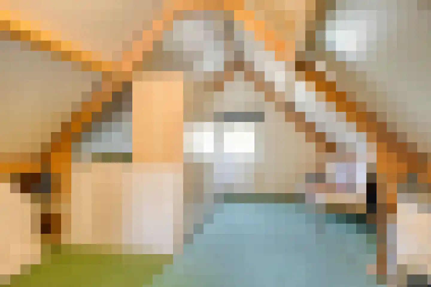 de Kromme Geer 76 Helmond thumbnail 35