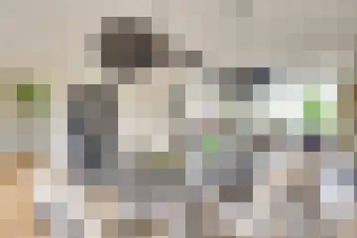 de Kromme Geer 78 Helmond thumbnail 4