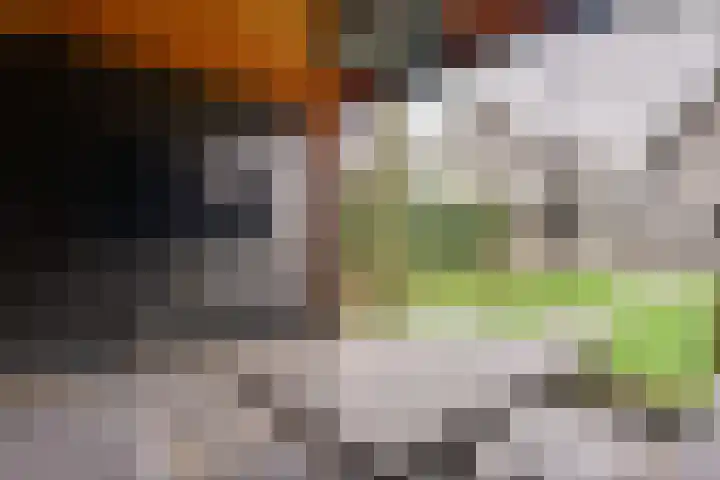 de Kromme Geer 78 Helmond thumbnail 48