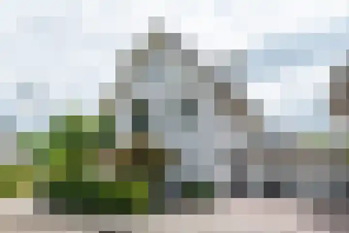 de Kromme Geer 84 Helmond thumbnail 12