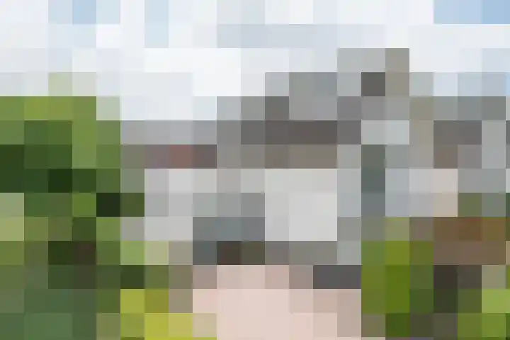 de Kromme Geer 84 Helmond thumbnail 13