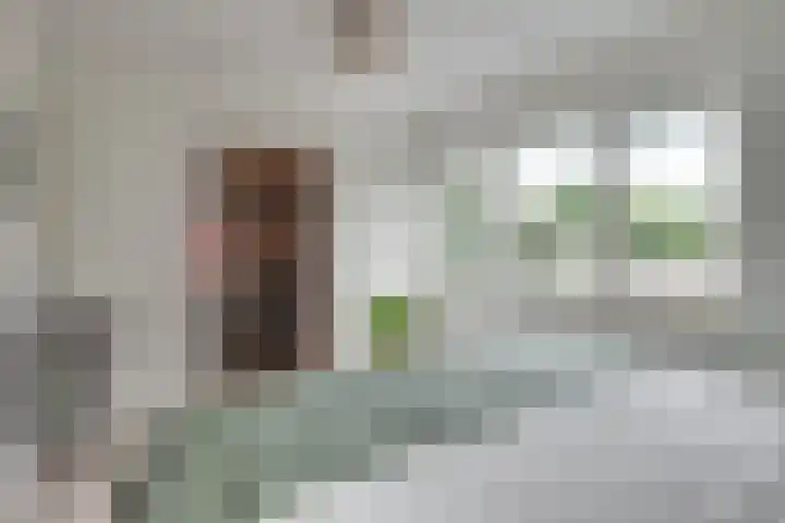 de Kromme Geer 84 Helmond thumbnail 35