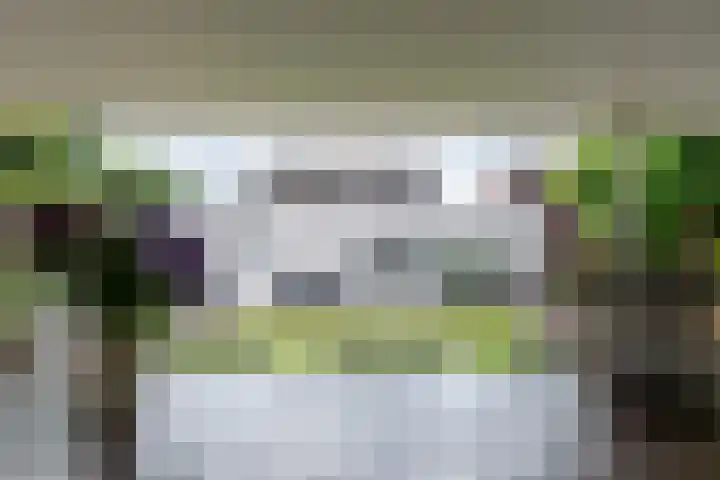 de Kromme Geer 84 Helmond thumbnail 50