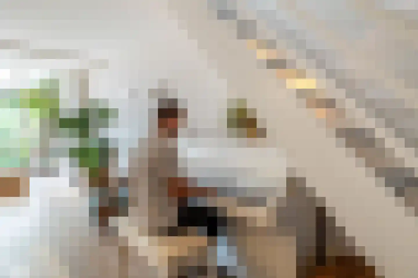 De Krommert 113 Oosthuizen thumbnail 19