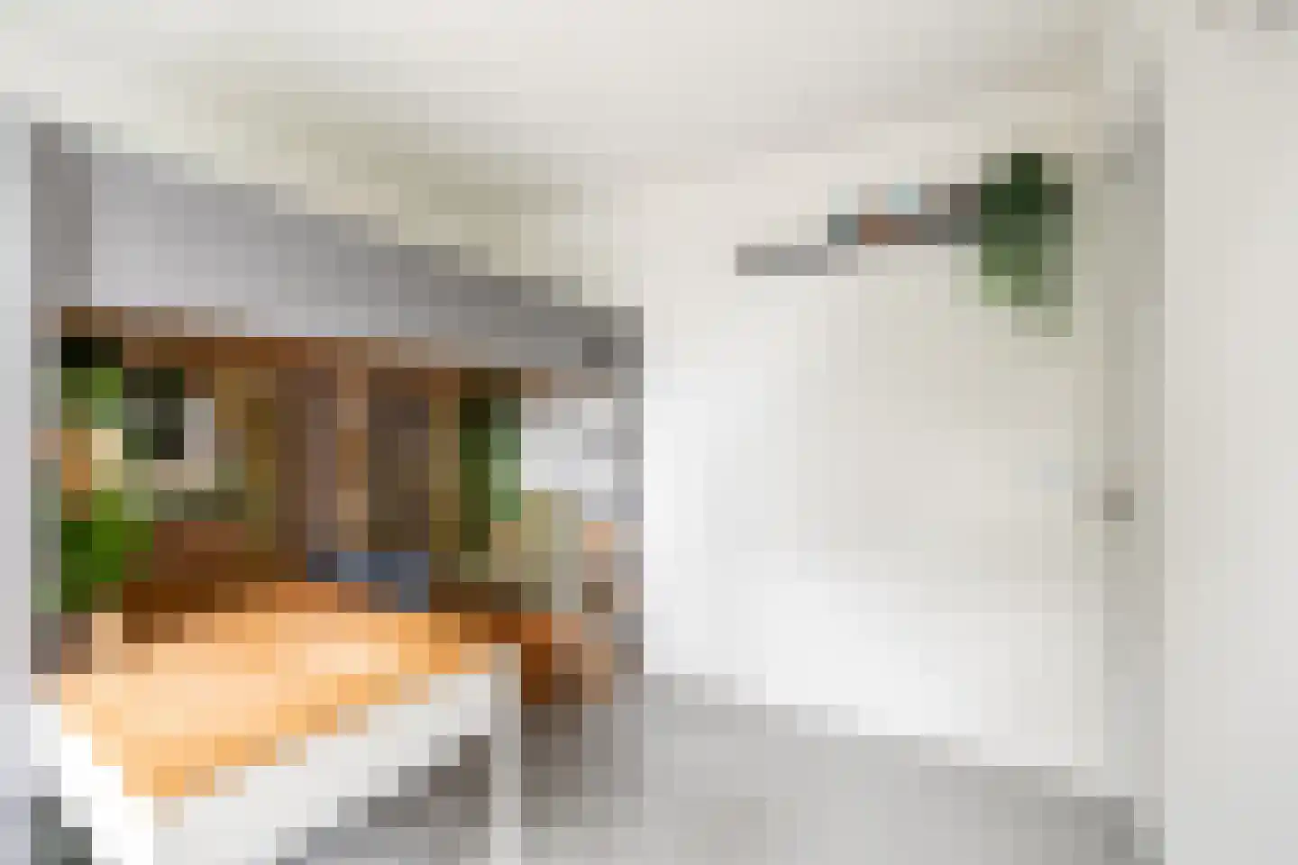De Krommert 113 Oosthuizen thumbnail 31