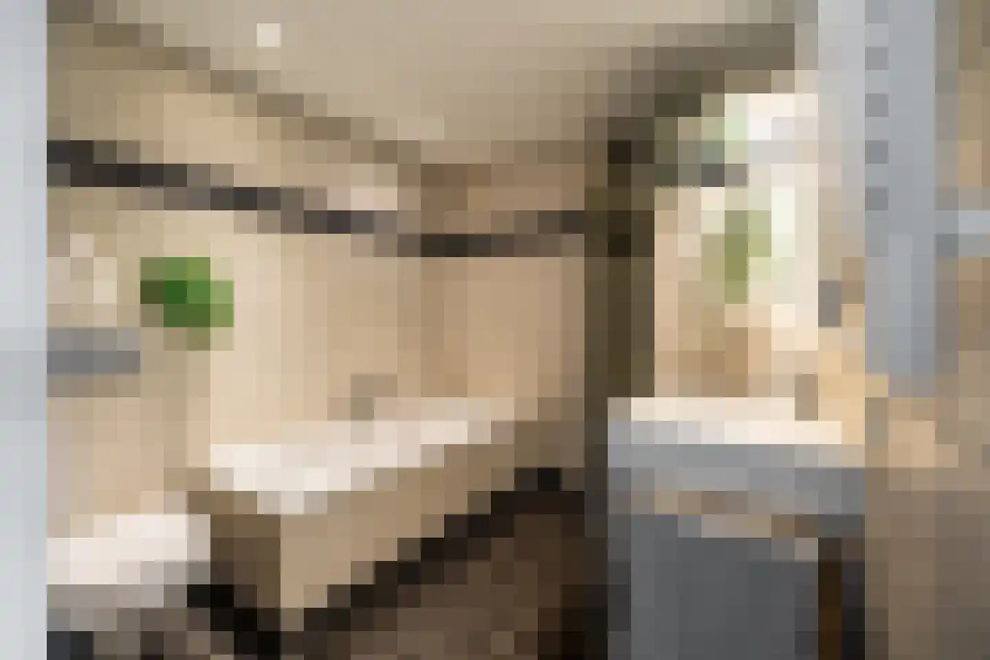 De Krommert 113 Oosthuizen thumbnail 33
