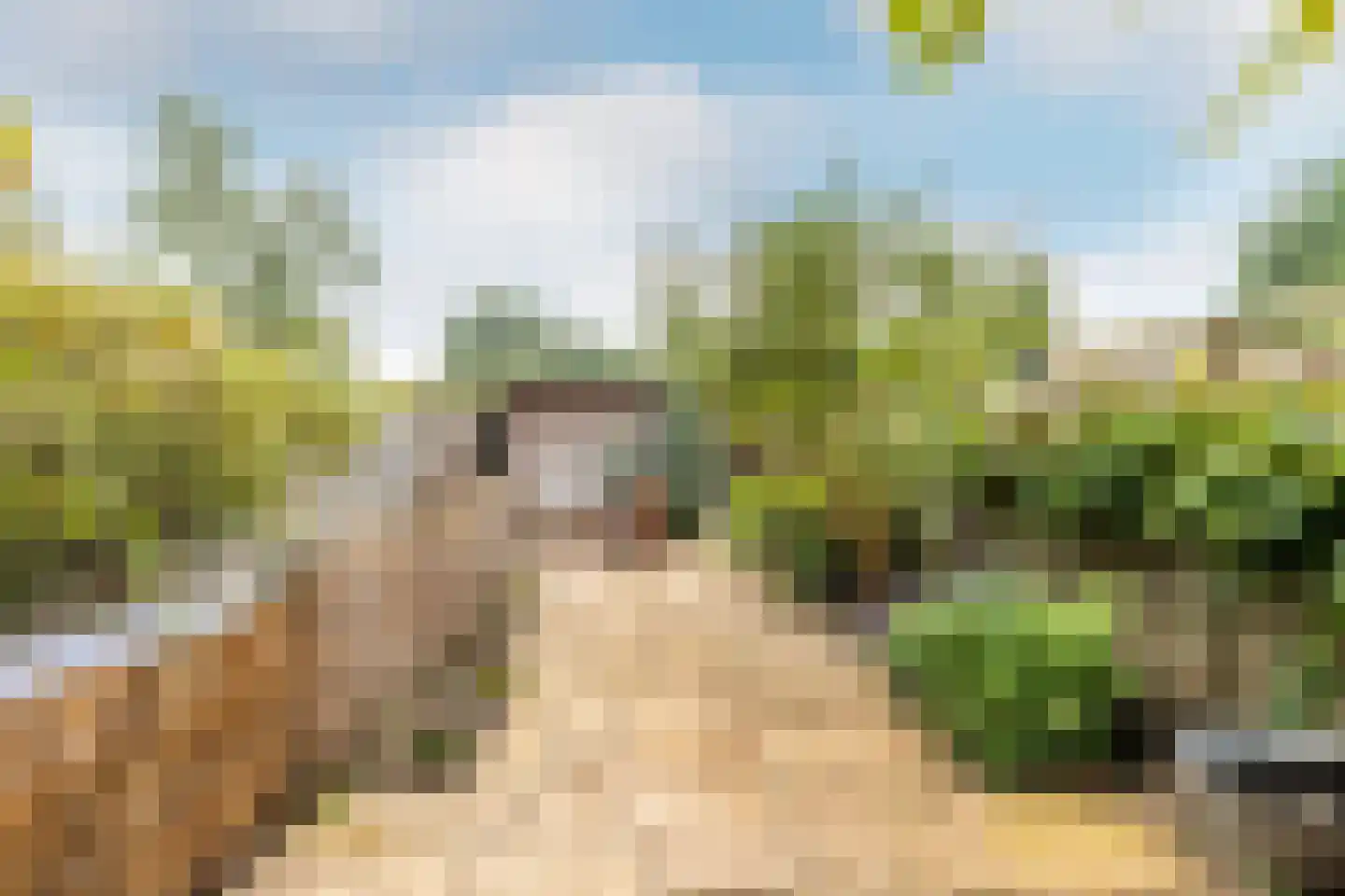 De Krommert 113 Oosthuizen thumbnail 38