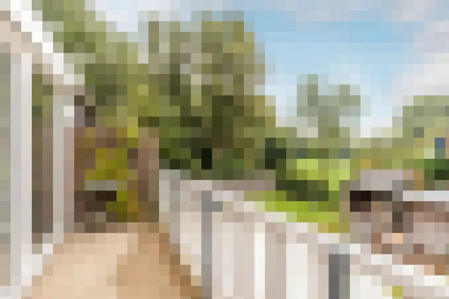 De Krommert 113 Oosthuizen thumbnail 4