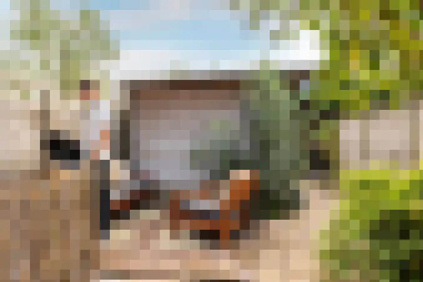 De Krommert 113 Oosthuizen thumbnail 41