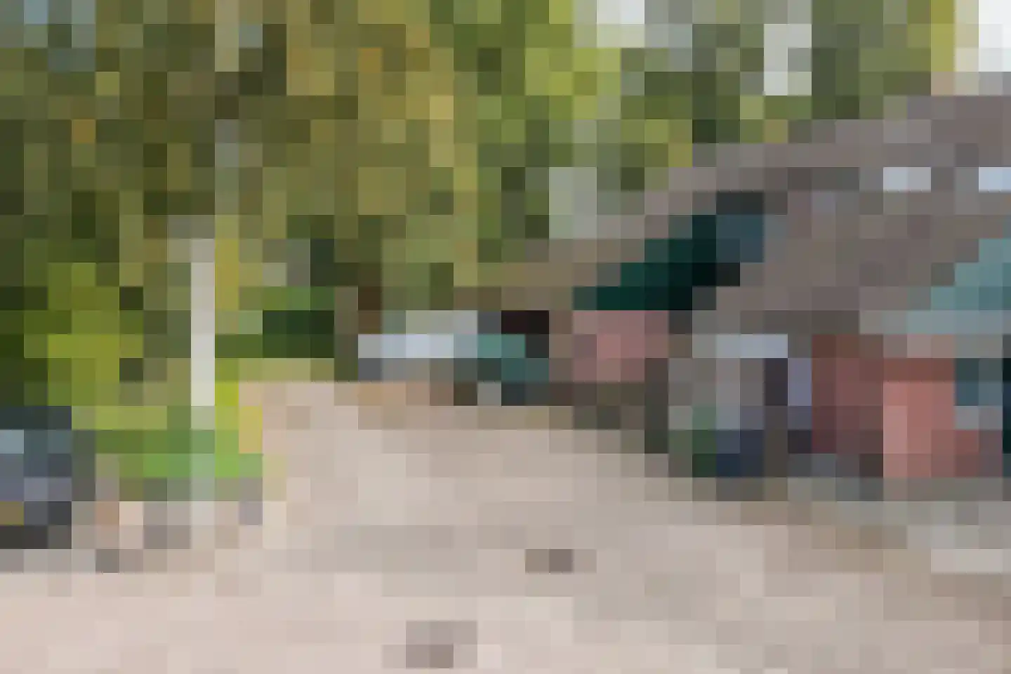 De Krommert 113 Oosthuizen thumbnail 47