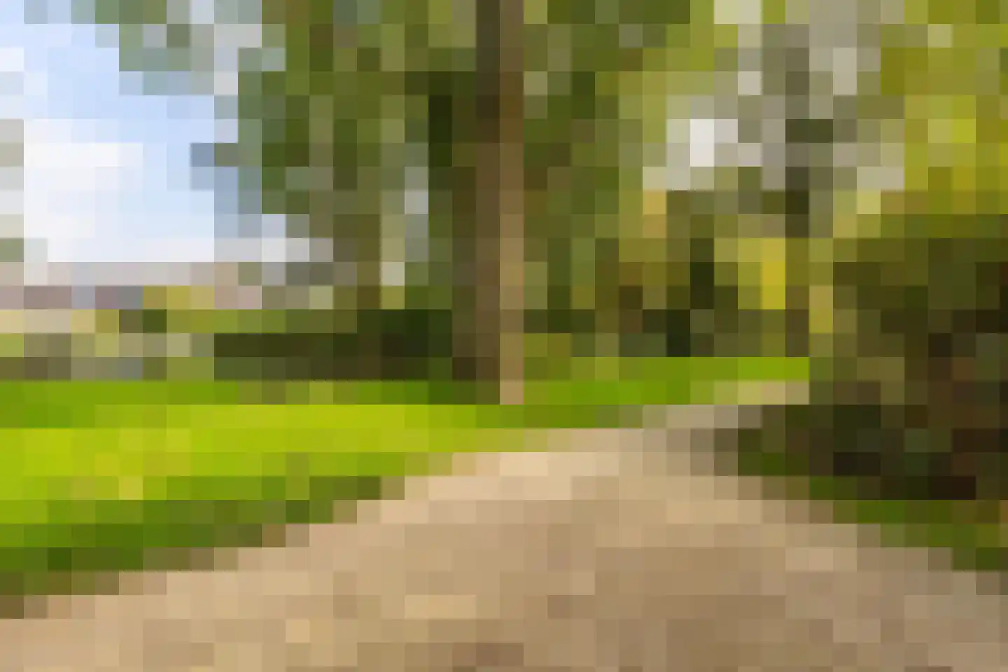 De Krommert 113 Oosthuizen thumbnail 50