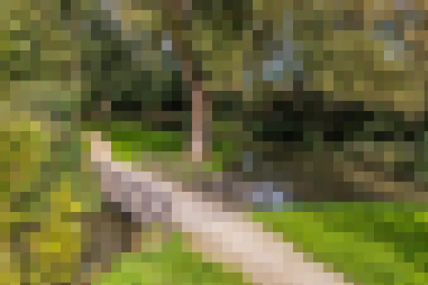 De Krommert 113 Oosthuizen thumbnail 6