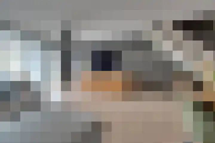 De Krommert 115 Oosthuizen thumbnail 10