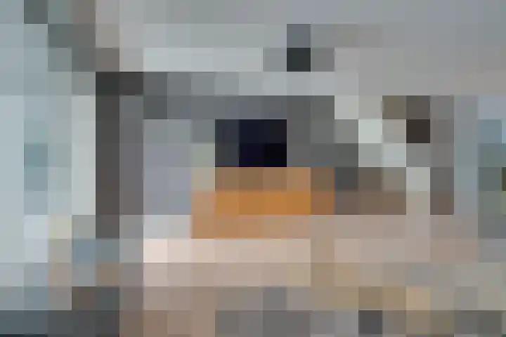 De Krommert 115 Oosthuizen thumbnail 13