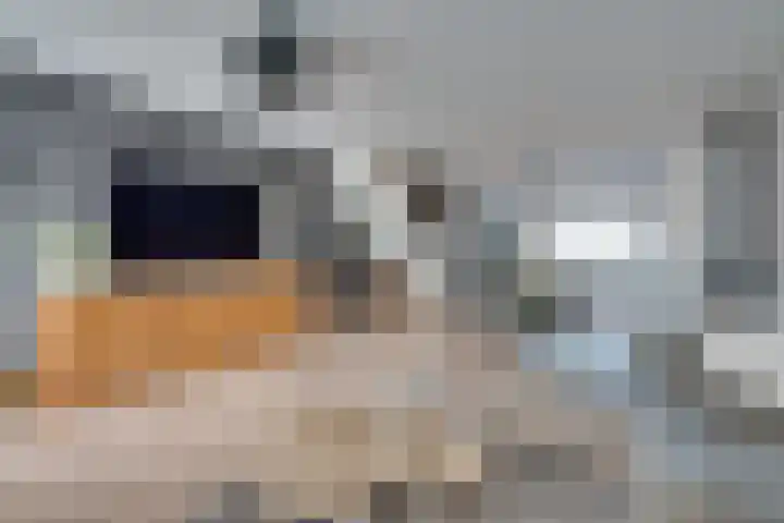 De Krommert 115 Oosthuizen thumbnail 14
