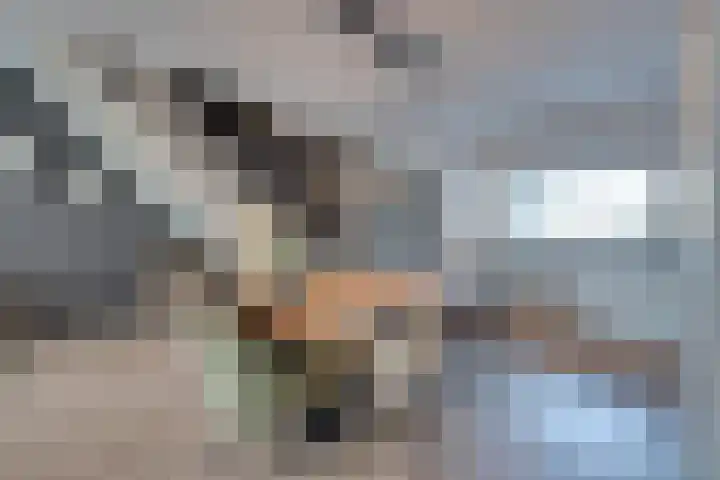 De Krommert 115 Oosthuizen thumbnail 16