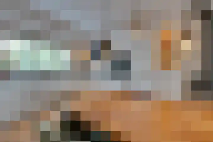 De Krommert 115 Oosthuizen thumbnail 17