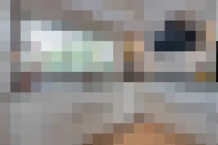 De Krommert 115 Oosthuizen thumbnail 18