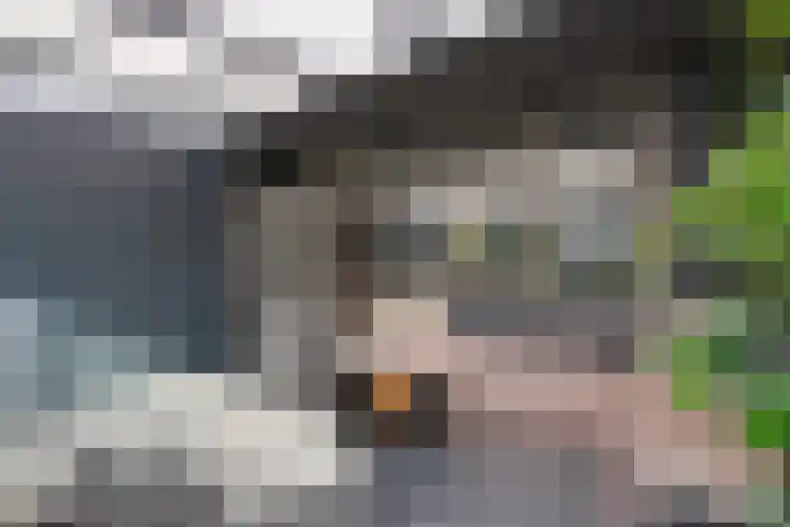 De Krommert 115 Oosthuizen thumbnail 24
